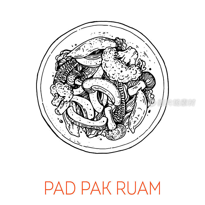 Pad Pak Ruam，泰国菜。手绘矢量插图。素描风格。前视图。的矢量插图。